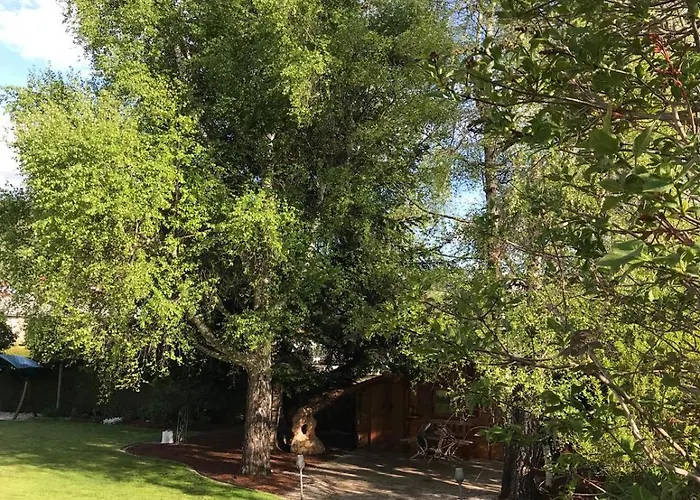 Yoga Wohlfuehloase Im Gruenen 公寓